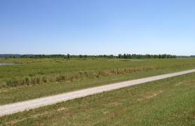 Prairie with roadway 