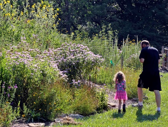 Father and daughter visit native plant garden