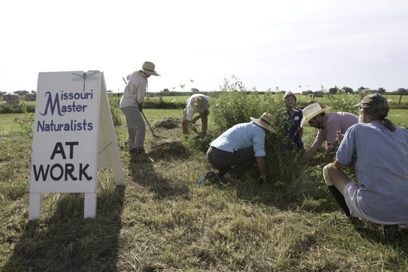 Master Naturalists planting in a field.