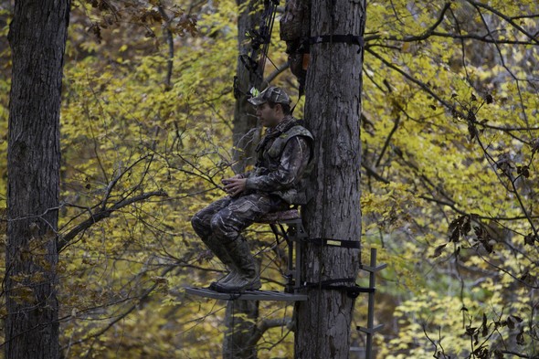 Hunter in tree