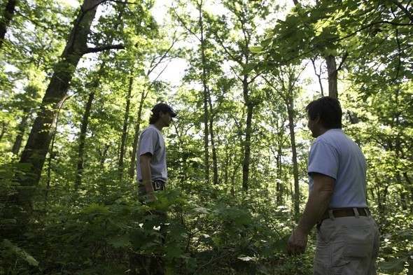 Two men talk in woods 