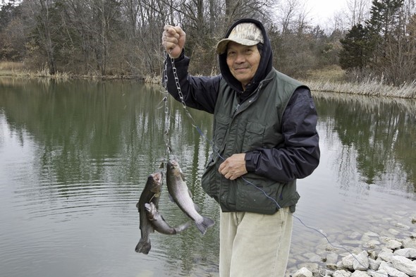Angler holds three rainbow trout