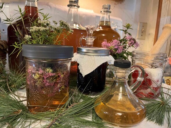 Several jars of vinegars made from native plants