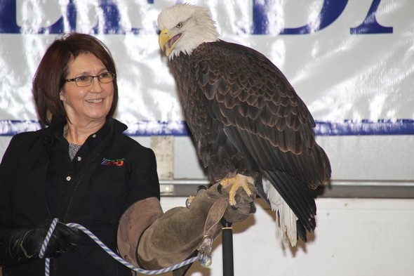 A handler shows off her bald eagle.