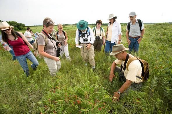 Master Naturalists in a field