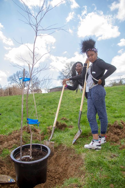 Students plant tree for Arbor Day.
