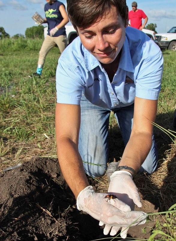 MDC staff person holding burying beetle