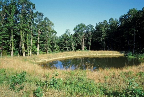 A pond on private property