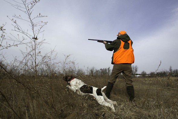 A hunter lowers his gun as his dog leaps to retrieve his game.