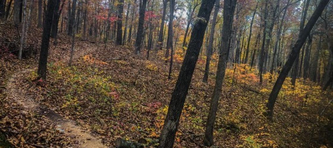 Fall hiking trail
