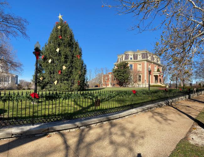 Governor's Christmas tree 2020
