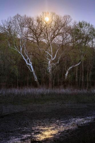 Moon rising over St. Stanislaus Conservation Area in Hazelwood