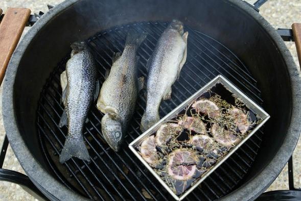 Rainbow trout on grill