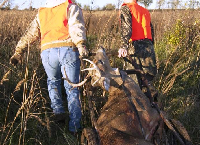 two hunters drag a harvested deer