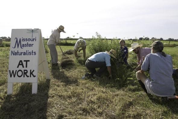 Master Naturalist Volunteers planting in field