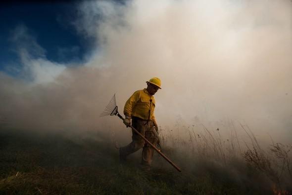 MDC staff walks around the smoke coming from a prescribed fire.