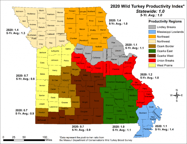 turkey brood survey results 2020