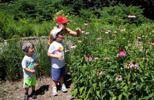 Family viewing coneflowers at Discover Center