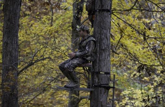 Hunter in tree