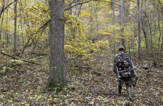 Deer hunter walks through woods