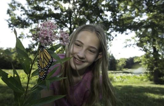 girl looking at monarch on milkweed