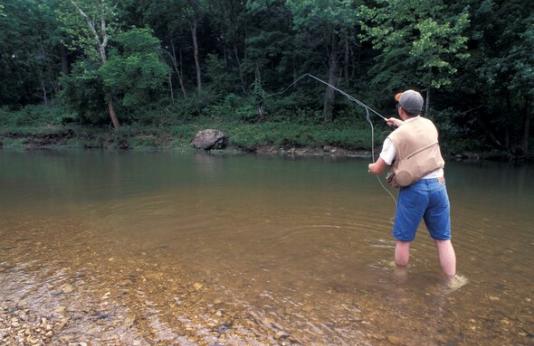 Man in stream fly fishing