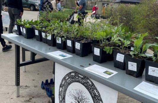 Native Plant Sale at Gorman Discovery Center