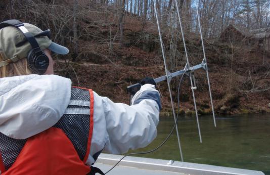 Fish Tracking with Radio Telemetry Equipment