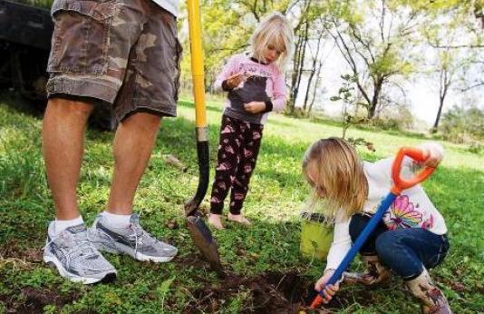 Family planting tree