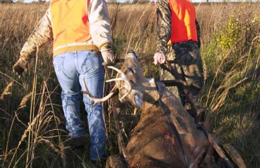 Hunters drag a harvested buck through a field.