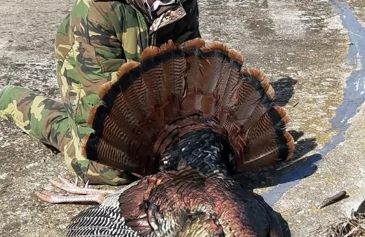 Kendall Sapp with her first harvested turkey.