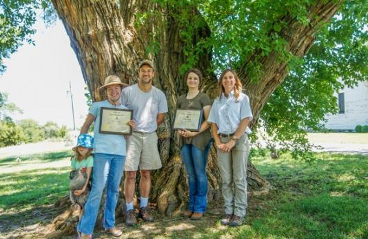 People in front of champion Osage orange tree