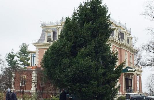 Christmas Tree at Governor’s Mansion