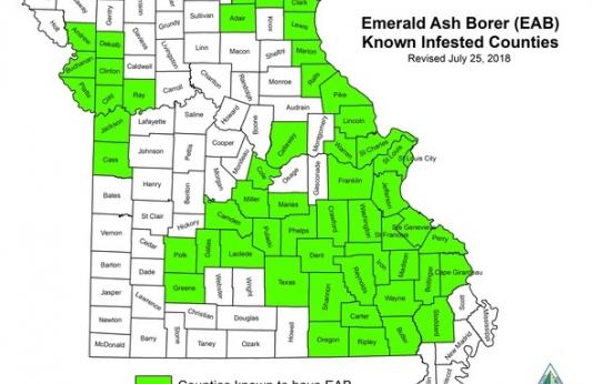 Map of where EAB can found through Missouri