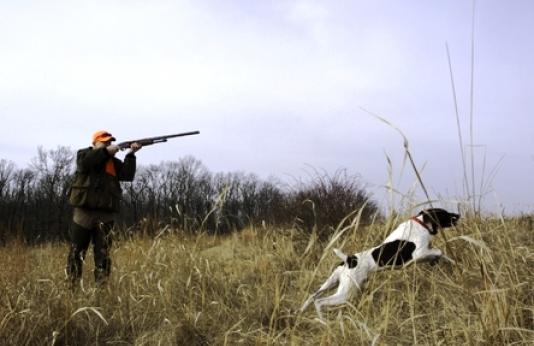 Hunter shooting in field with dog retrieving