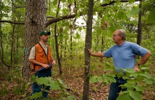 MDC forester talks with landowner in woodland