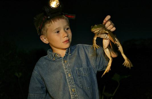 Kid With Frog