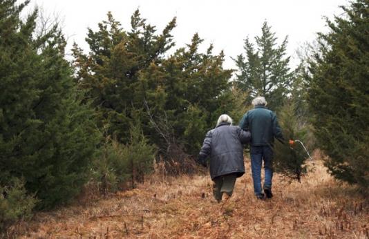Two people walking through a field of red cedars looking for the perfect Christmas tree.