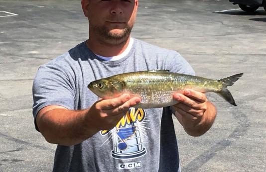Steven Wengler holding up his new state-record skipjack herring.