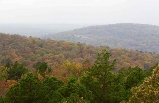 view from Stegall Mountain on Peck Ranch Conservation Area shows a portion of the forested Ozarks. 