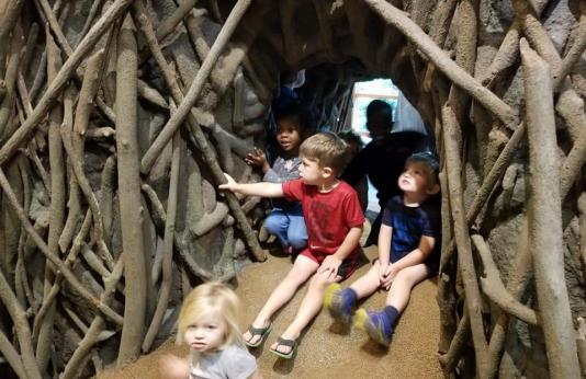 Little explorers learn about nature at the Cape Nature Center.