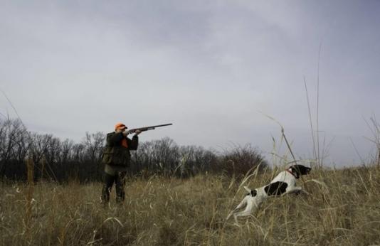 hunter shooting with dog in field