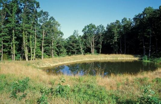 A pond on private property