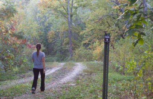 A lady walking on a trail in the woods.